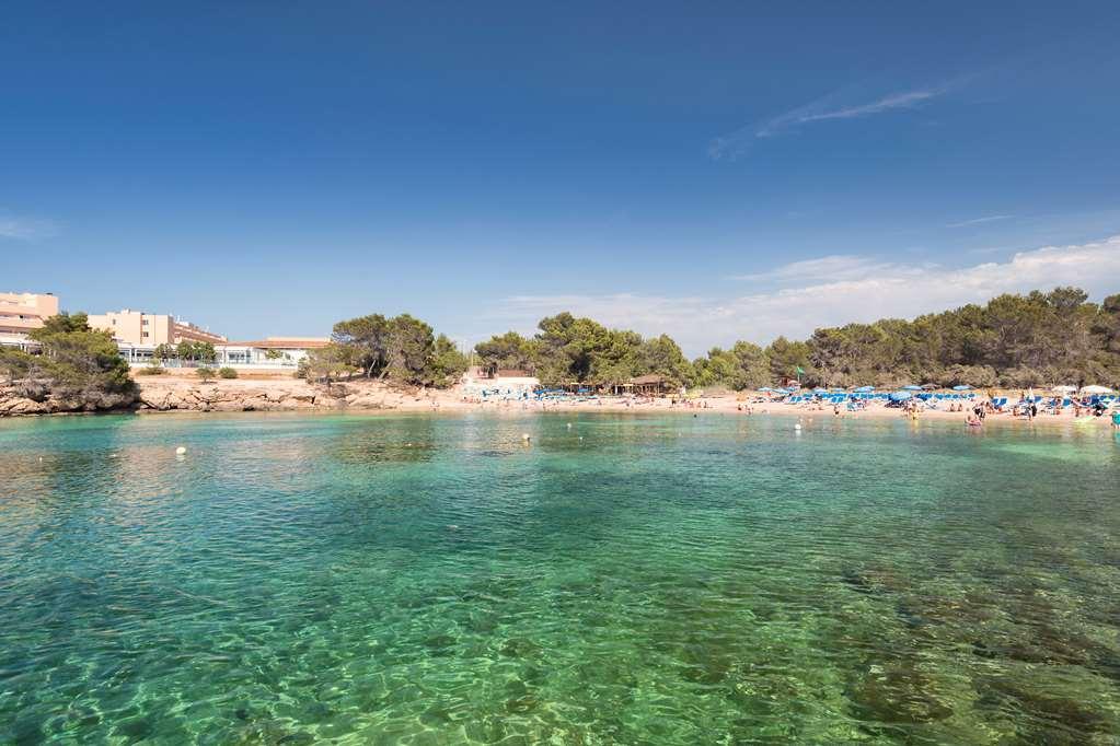 Occidental Ibiza Hotel Port des Torrent Natură foto